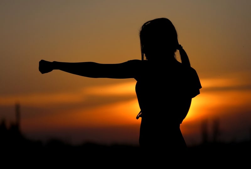 Martial Arts Elements